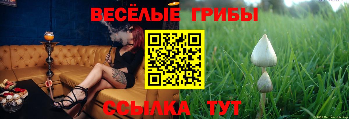 Галлюциногенные грибы Psilocybe  Галлюциногенные грибы Psilocybe  Вход с VPN  Владивосток 